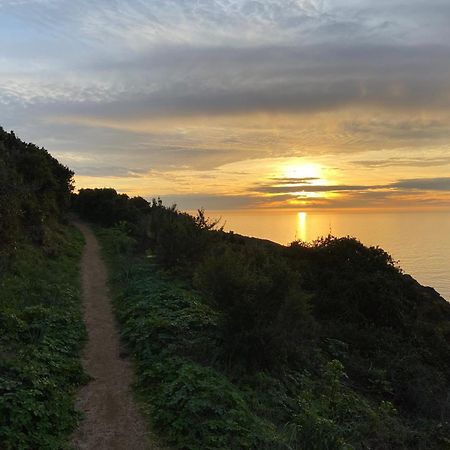 Villa Montalbo Vue Mer De 2 A 10 Personnes Cargèse Dış mekan fotoğraf